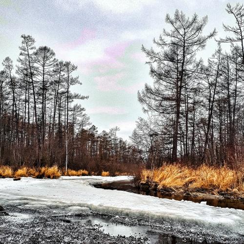 Photo #4793612