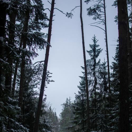 Photo #4794104