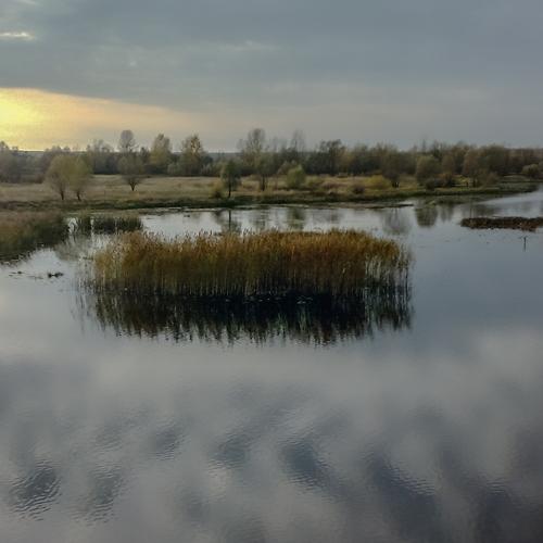 Photo #4794203