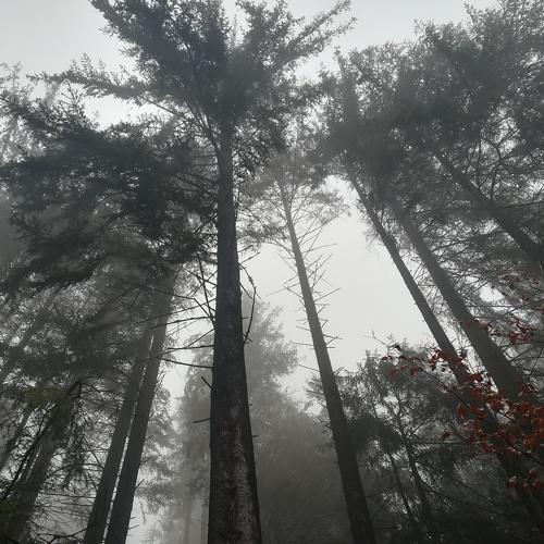 Photo #4794343