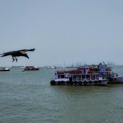 Photo #4794503