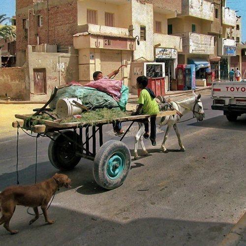 Photo #4794694