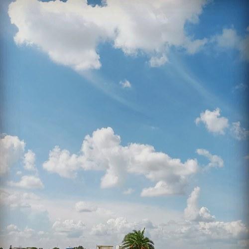 Photo #4795157