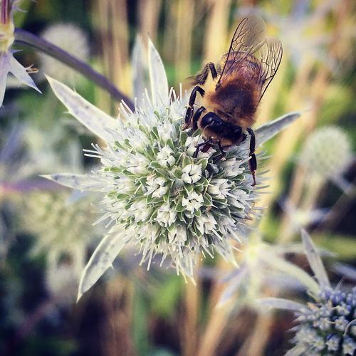 Photo #4795444
