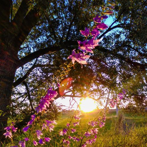 Photo #4795494