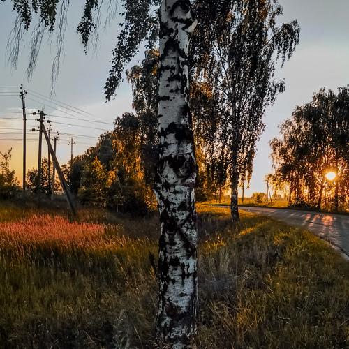 Photo #4795498