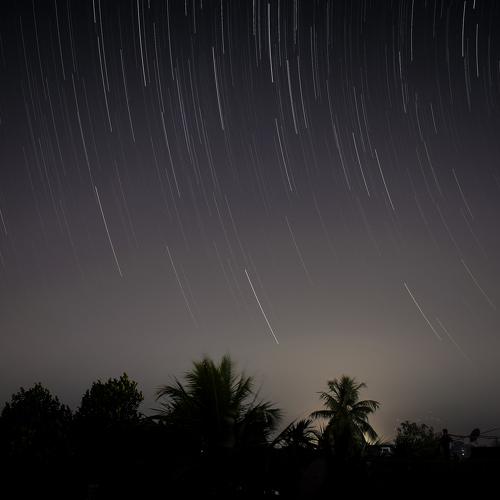 Photo #4795574