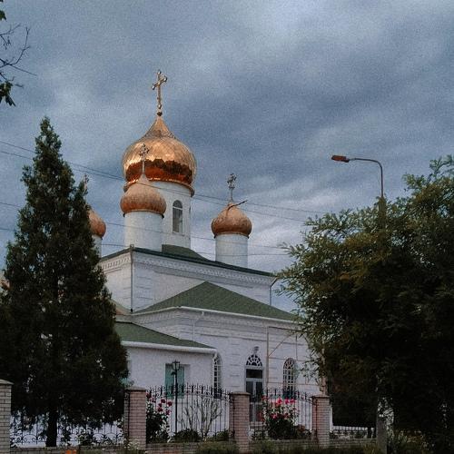 Photo #4795594