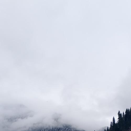 Photo #4795719
