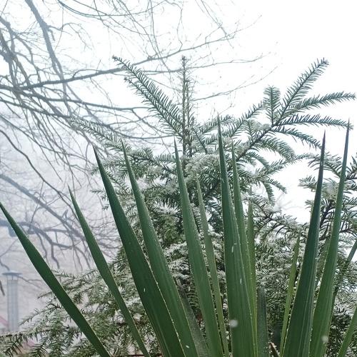 Photo #4795727