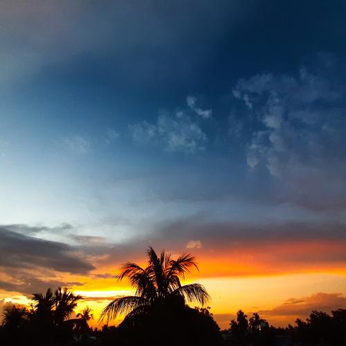 Photo #4795770