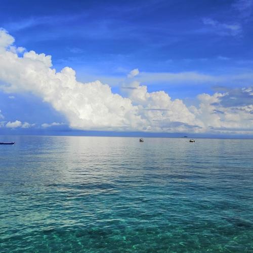 Paradise