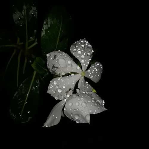 Photo #4796282