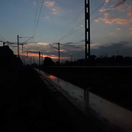 Photo #4796284
