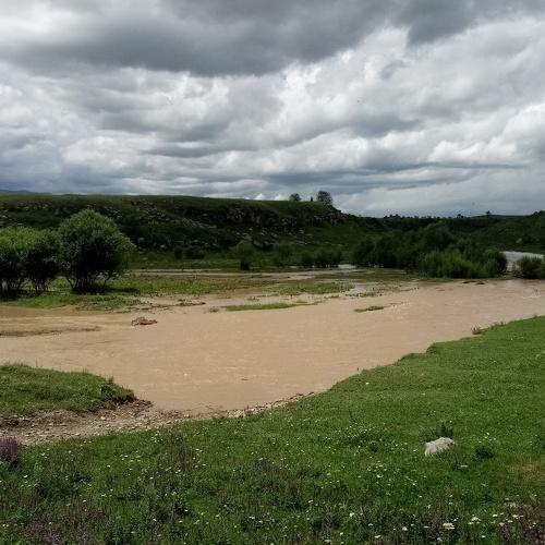 Photo #4796498