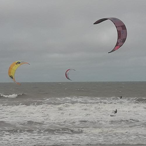 Photo #4796566