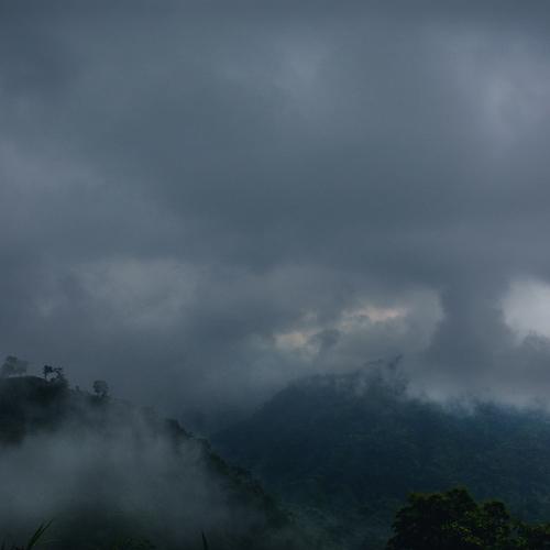 Foggy Morning