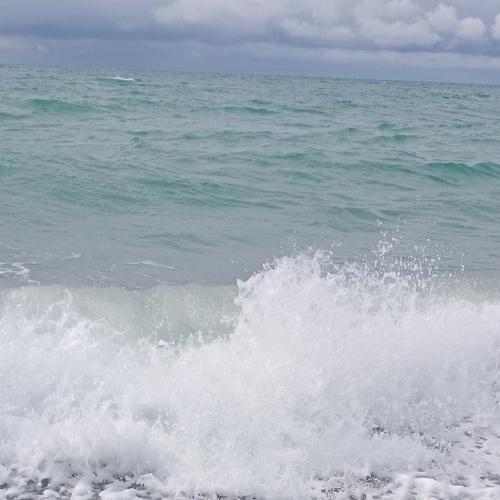 Photo #4796840
