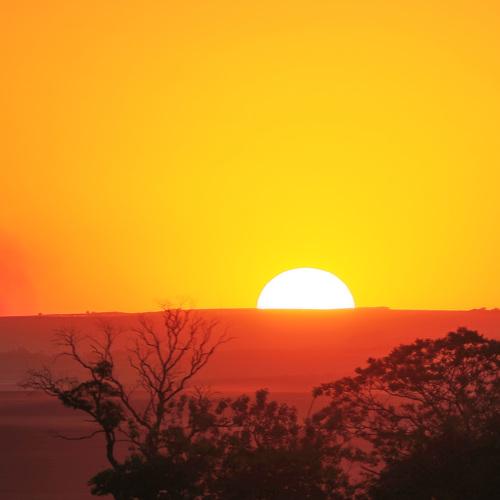 Photo #4797094