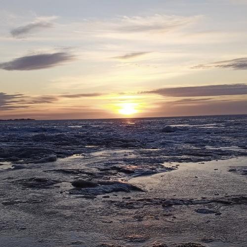 Photo #4797122
