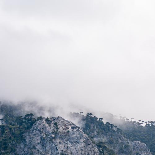 Фотография #4797705