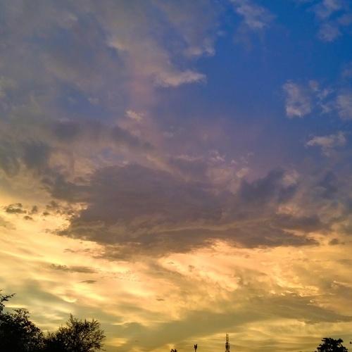 Nature photography