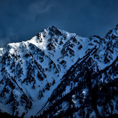 Photo #4798242