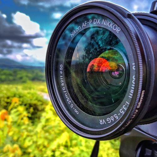 Photo #4798290