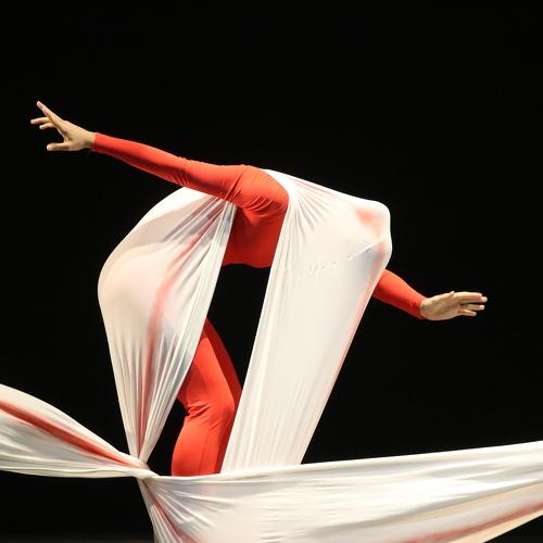 Photo #4798348