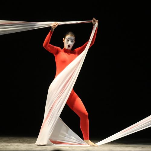 Photo #4798350