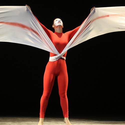 Photo #4798351