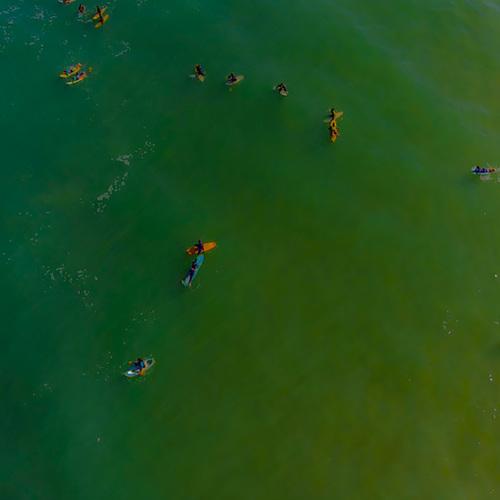 Photo #4798393