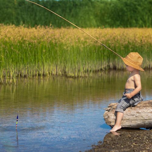 Photo #4798406