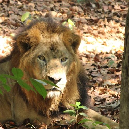 Photo #4798443