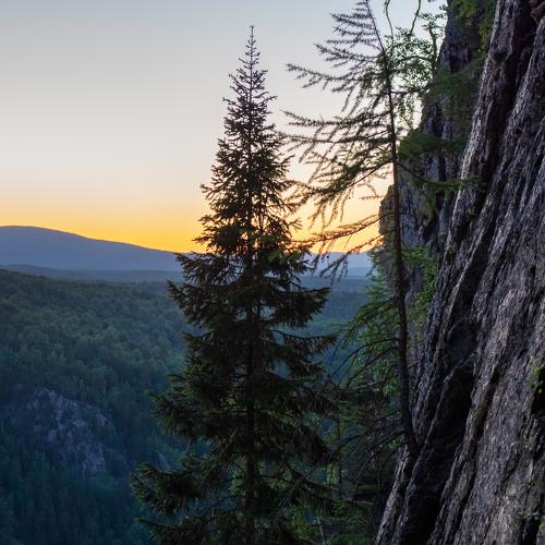 Photo #4798512