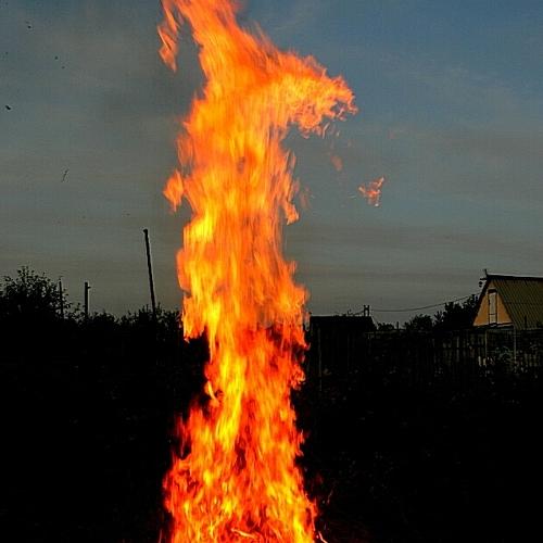 Photo #4798515