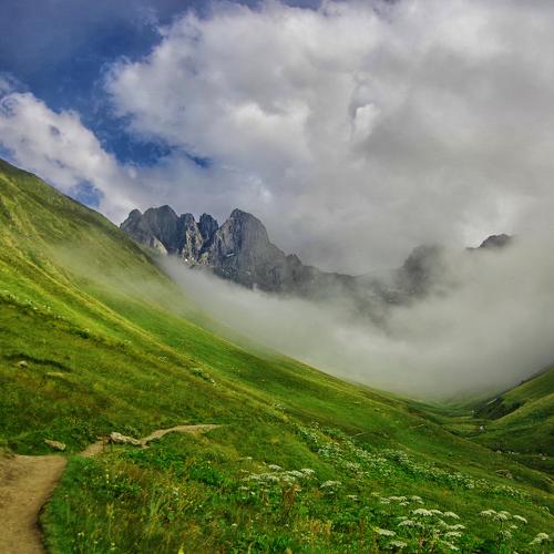 Photo #4798525