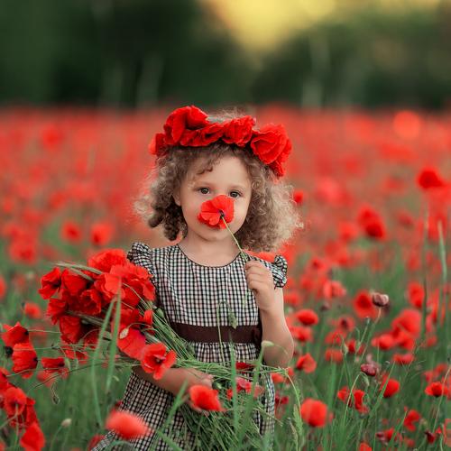 Photo #4798662