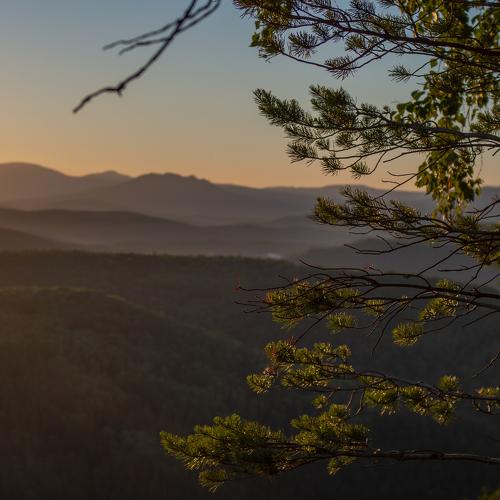 Photo #4798743