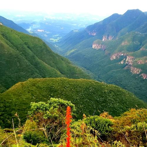 Photo #4798909