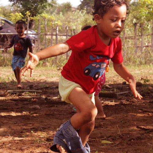 Photo #4799240