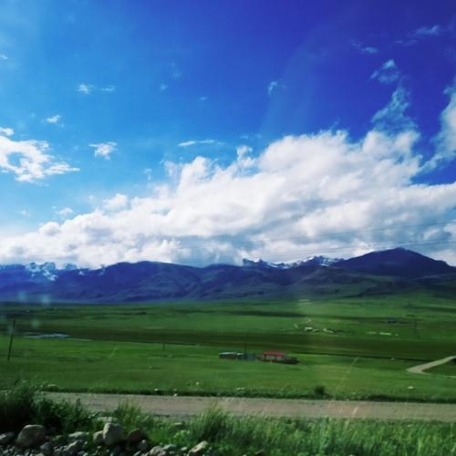 Photo #4799254