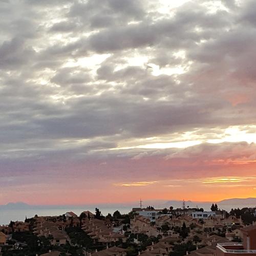 Photo #4799367