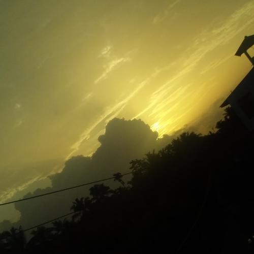 Photo #4799422