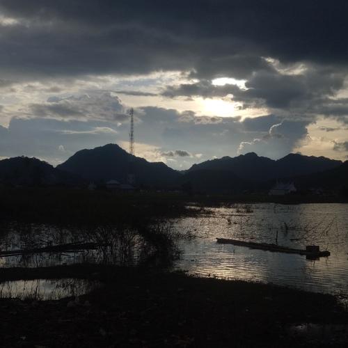 Photo #4799445