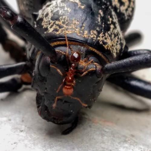 Photo #4799629