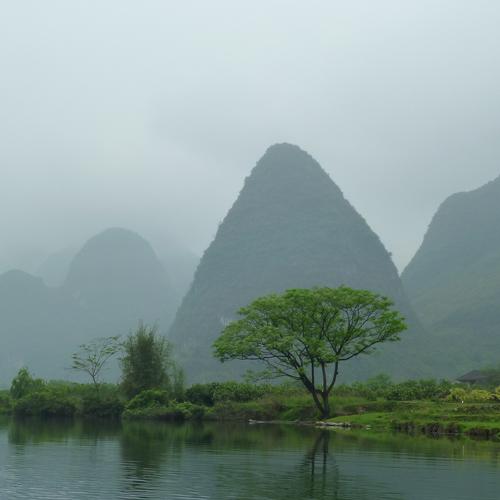 Photo #4799630