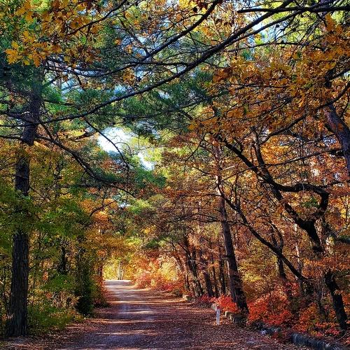 Photo #4799732