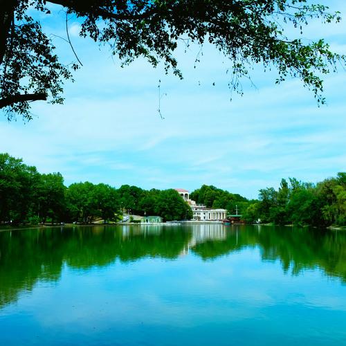 Photo #4799905