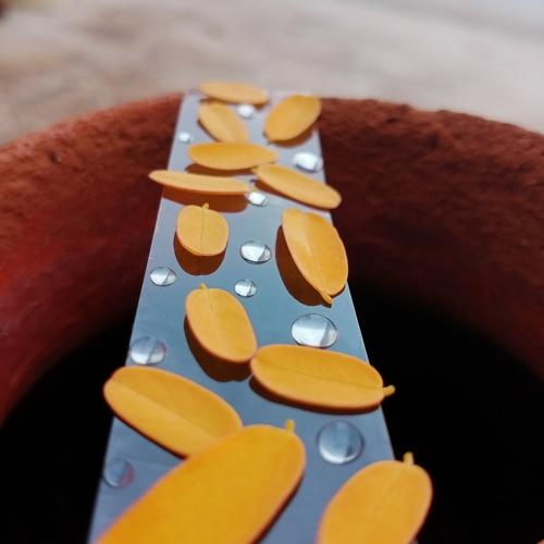 Photo #4799927